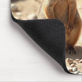 "Double the Cuteness: Aussie Quokka Twins" Mousepad (Ecke)
