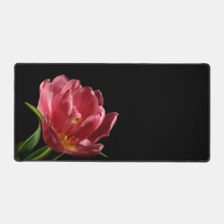 Double Tulip Blooms Schönes Frühling Blume Foto Schreibtischunterlage