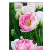 Double Tulips Spring Garden Jeder Anlass Custom (Vorne)