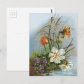 Double White und Gold Narcissus von einem Teich Postkarte (Vorne/Hinten)