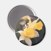 Double Wild Daffodil Magnet (Vorderseite/Rückseite)