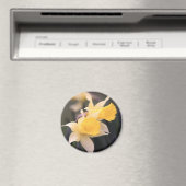 Double Wild Daffodil Magnet (In Situ (Geschirrspüler))