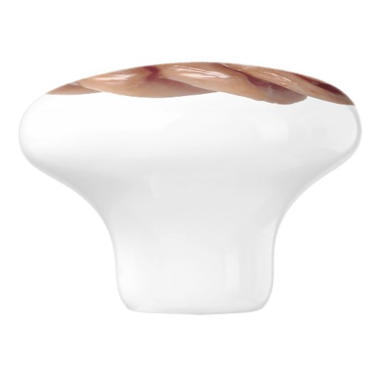 Doughnut Drawing Pull Keramikknauf (Seitenansicht)