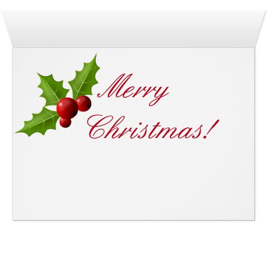 Douglas Castle - Sitzplatz der Clan Douglas (Innenansicht Horizontal (Unten))