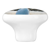 Douglas DC-3 Flugzeug. Propeller Keramikknauf (Seitenansicht)