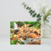 Douglas Falls, West Virginia Postkarte (Stehend Vorderseite)