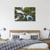 Douglas Fir Baumkronen Leinwanddruck (Insitu (Schlafzimmer))