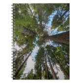 Douglas Fir Baumkronen Notizblock (Vorderseite)