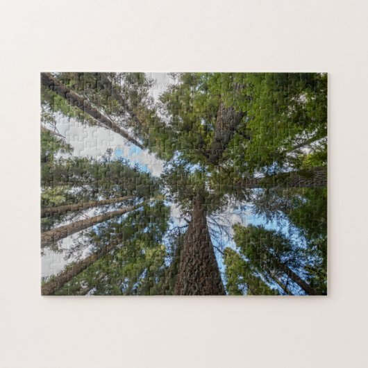 Douglas Fir Baumkronen Puzzle (Horizontal)