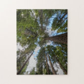 Douglas Fir Baumkronen Puzzle (Vertikal)