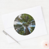 Douglas Fir Baumkronen Runder Aufkleber (Umschlag)