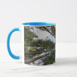 Douglas Fir Baumkronen Tasse