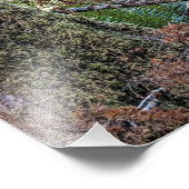 Douglas Fir Conifer Forest Fotodruck (Ecke)