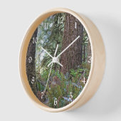 Douglas Fir Conifer Forest Uhr (Winkel)