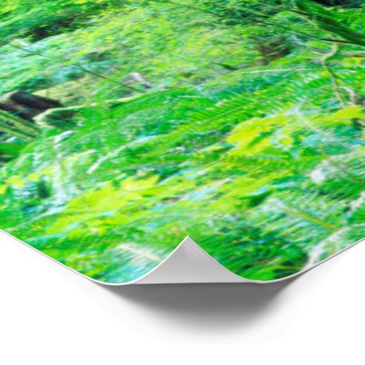 Douglas Fir tree Poster (Ecke)