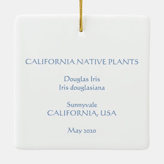 Douglas Iris Ornament (Rückseite)