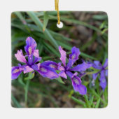 Douglas Iris Ornament (Vorderseite)