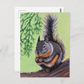Douglas Squirrel Painting Postkarte (Vorne/Hinten)