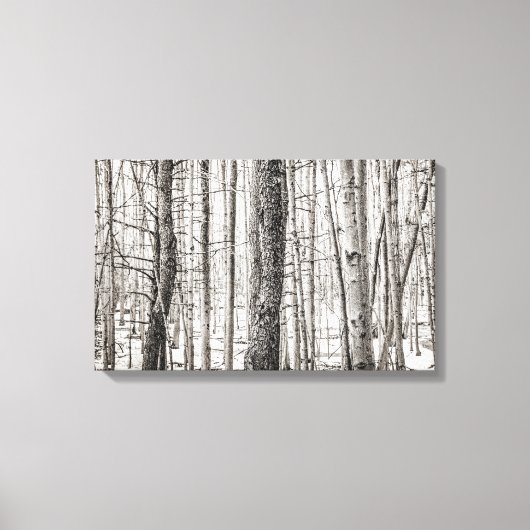 Douglas Woods Leinwanddruck (Vorderseite)