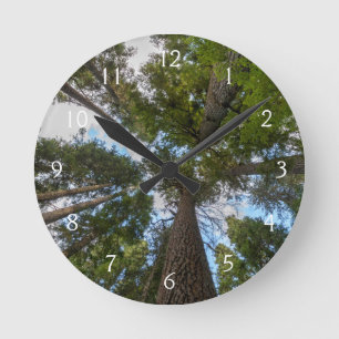 Douglasienbaumkronen Runde Wanduhr