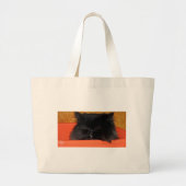 Dougy die Tasche der persischen Katze (Vorne)