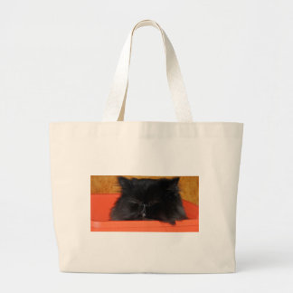Dougy die Tasche der persischen Katze