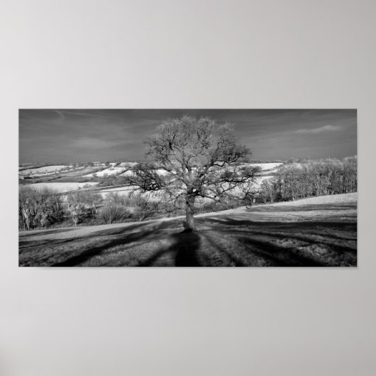 Doulting Hill Panorama Poster (Vorne)