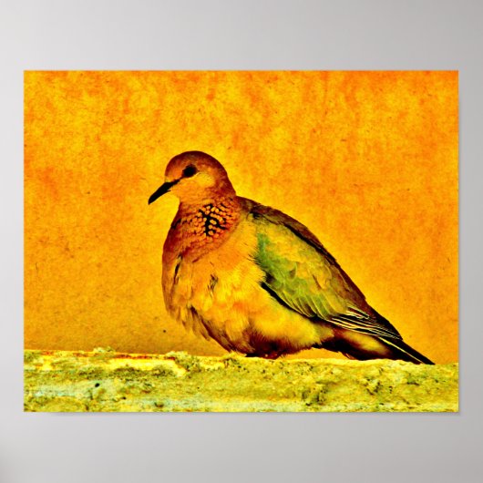 Dove Beauty Poster (Vorne)