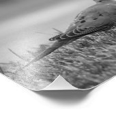 Dove Bird-Foto Fotodruck (Ecke)