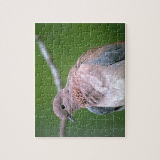 Dove Bird Puzzle (Vertikal)