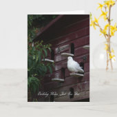 Dove Birthday Grußkarte Karte (Gelbe Blume)