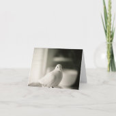 Dove Blank Card Karte (Vorderseite)