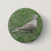 Dove Button (Vorderseite)