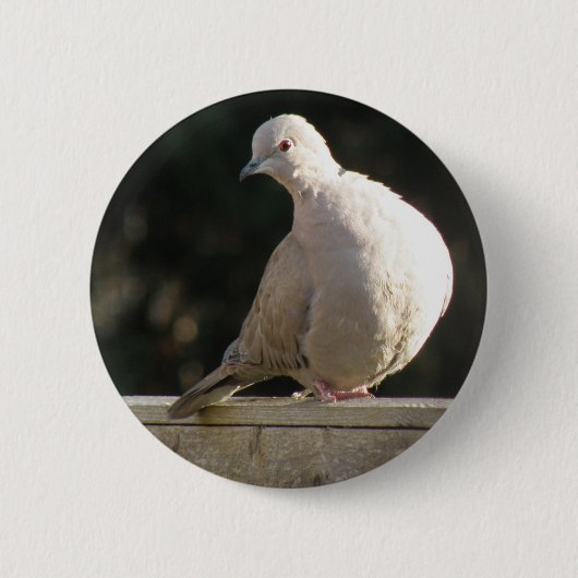 Dove Button (Vorderseite)