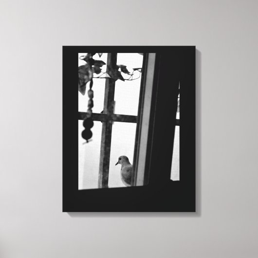Dove Daydreams Leinwanddruck (Vorderseite)