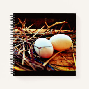 Dove Eggs Notizblock