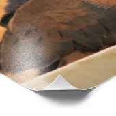 Dove Elegance Fotodruck (Ecke)