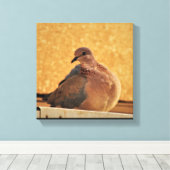 Dove Elegance Leinwanddruck (Insitu (Holzboden))