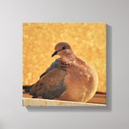 Dove Elegance Leinwanddruck
