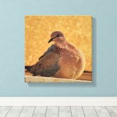 Dove Elegance Leinwanddruck (Insitu (Holzboden))