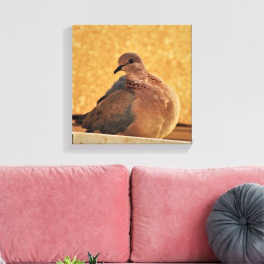 Dove Elegance Leinwanddruck (Insitu (Wohnzimmer))