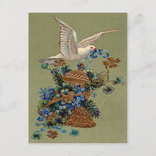 Dove Forget Me Not Vierblattklee Glocke Immergrün Postkarte