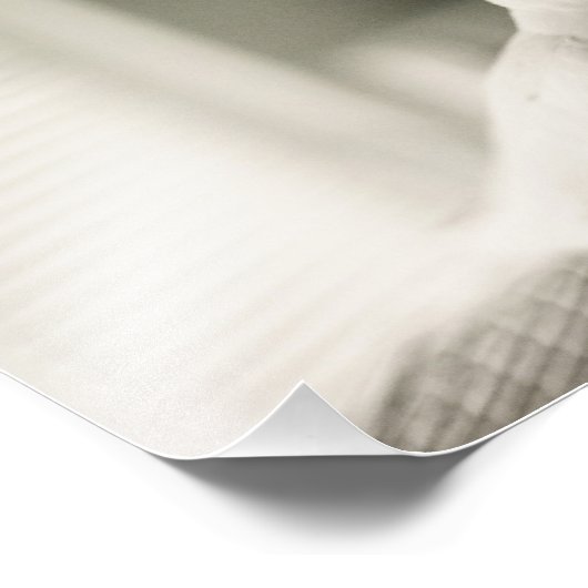 Dove Fotodruck (Ecke)