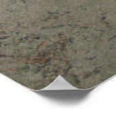 Dove Gezeichnet in das Sand Poster (Ecke)