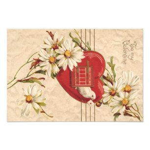 Dove Heart Birdhouse Daisy Daisies Fotodruck