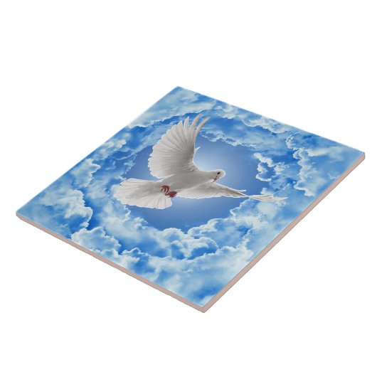 Dove Keramik Tile Fliese (Seite)