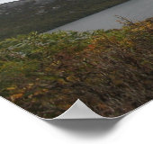 Dove Lake, Cradle Mountain, Tasmania Poster (Ecke)