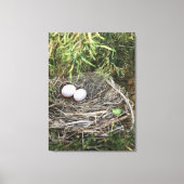 Dove Nest auf Leinwand (Vorderseite)
