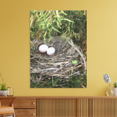 Dove Nest auf Leinwand (Insitu (Wohnzimmer))