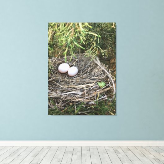 Dove Nest auf Leinwand (Insitu (Holzboden))